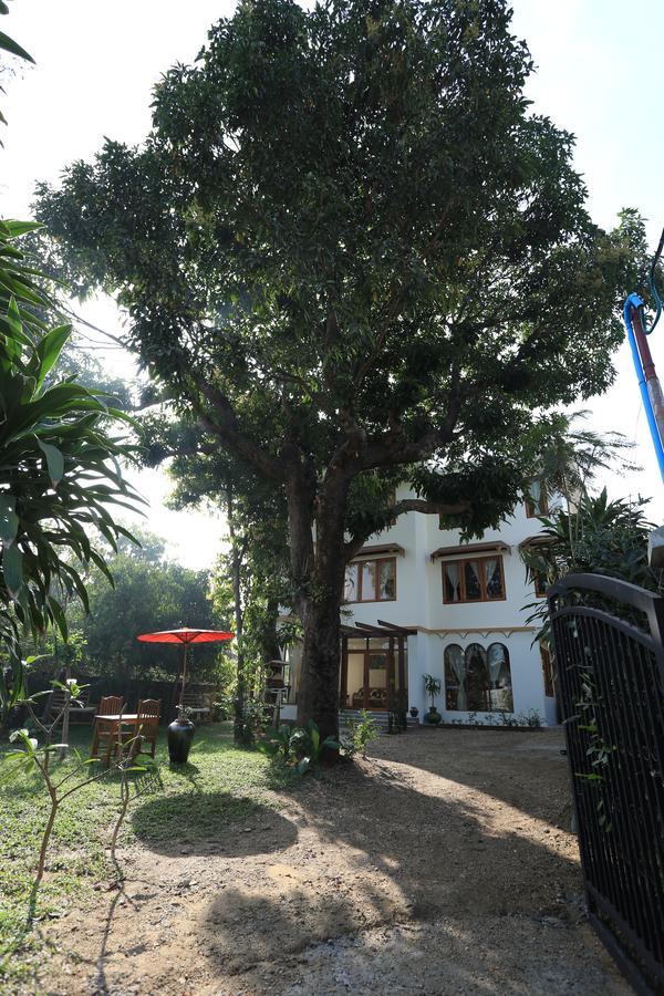 Mango Hill Inn Yangon Exterior foto