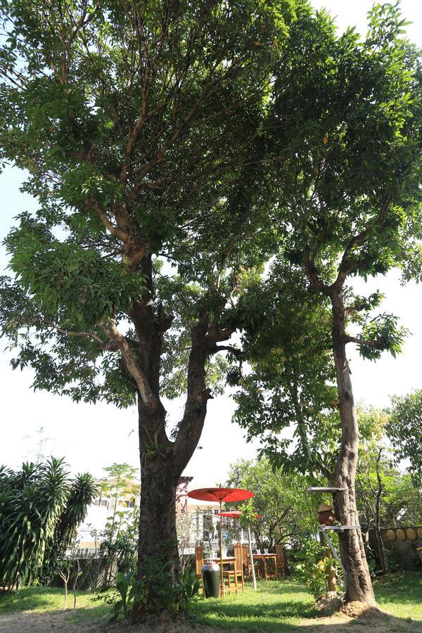 Mango Hill Inn Yangon Exterior foto